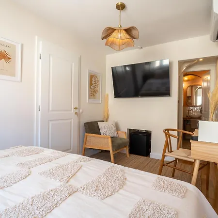 Flegma - By Hoxilis * Zadar