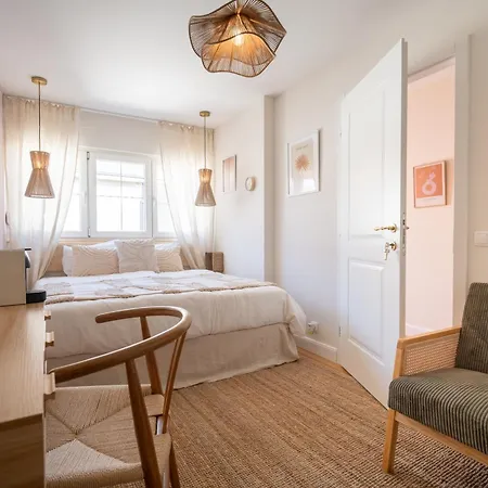 Flegma - By Hoxilis Zadar